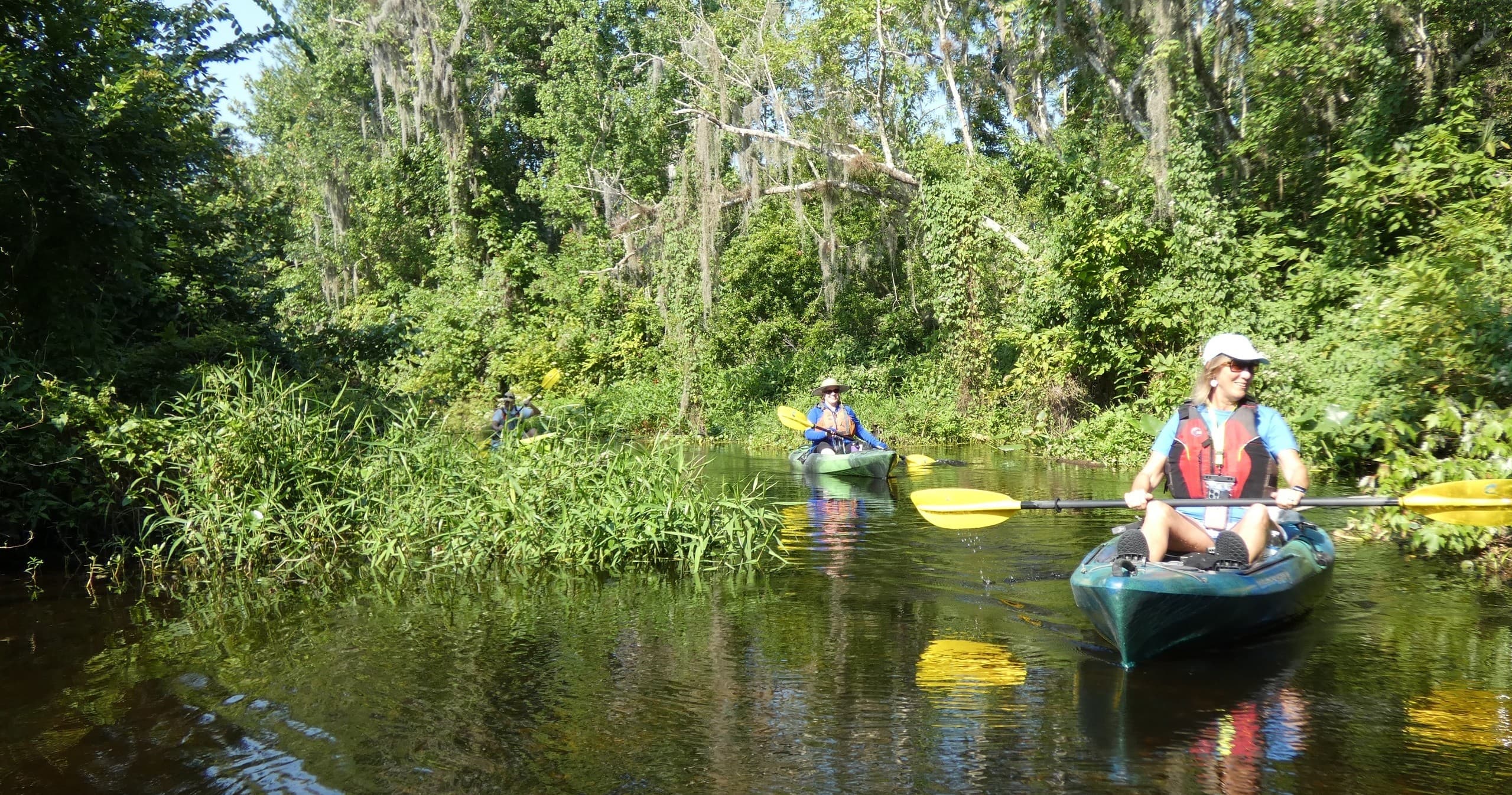 Wekiva River Kayak Explorer