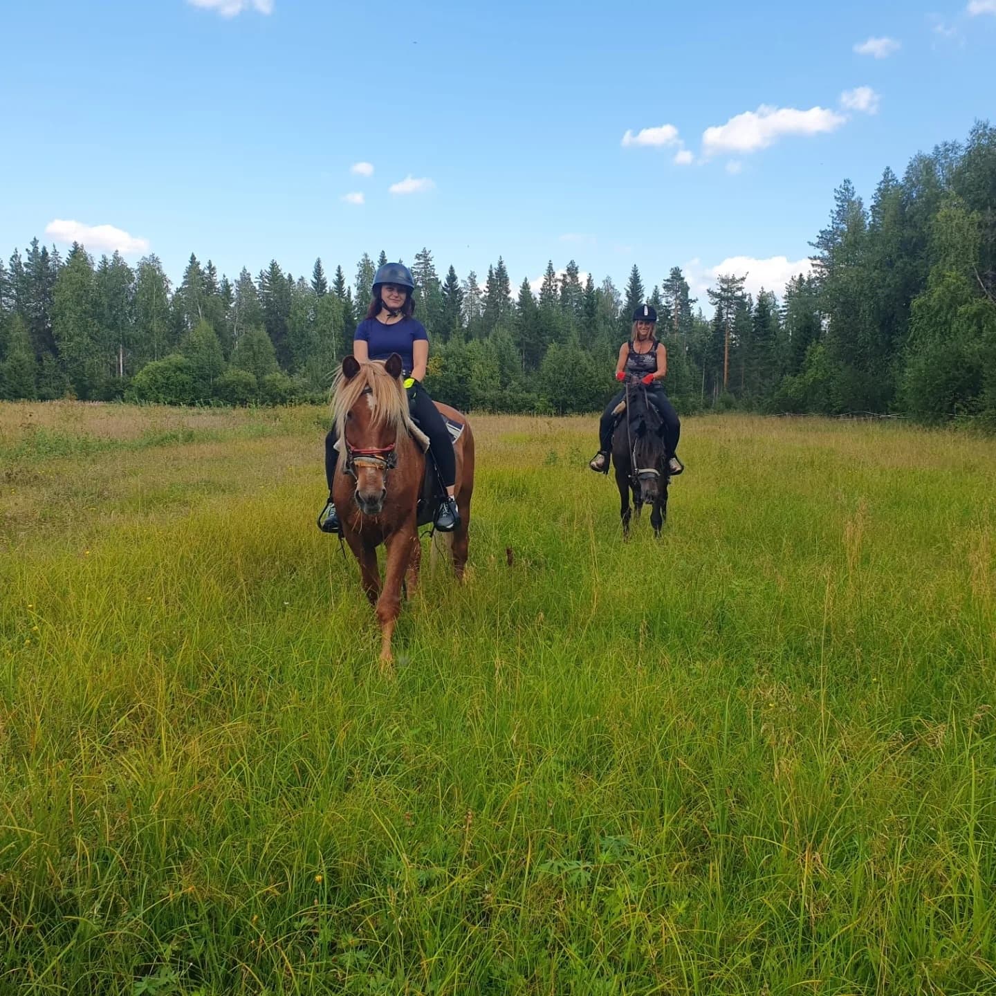 Midnight Sun Ride in Simo – Summer Nights in Lapland