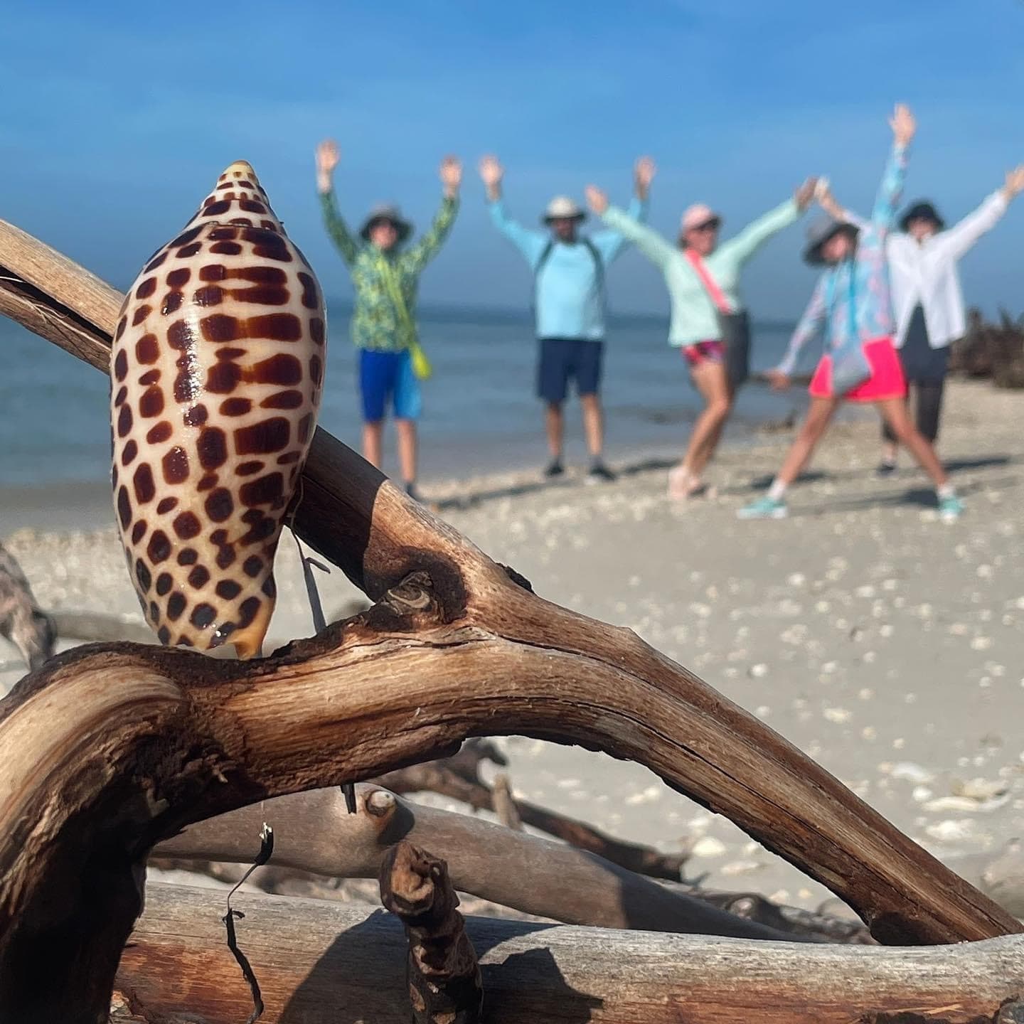 Three Hour Shelling Tour