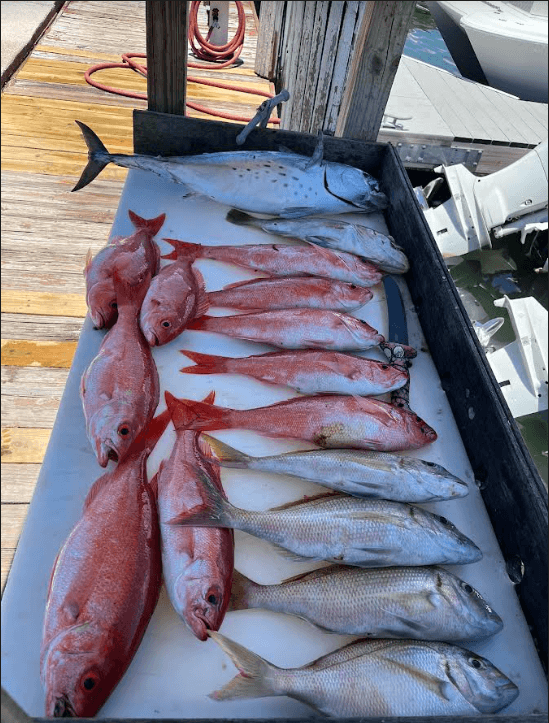 4 Hour Trip (PM)