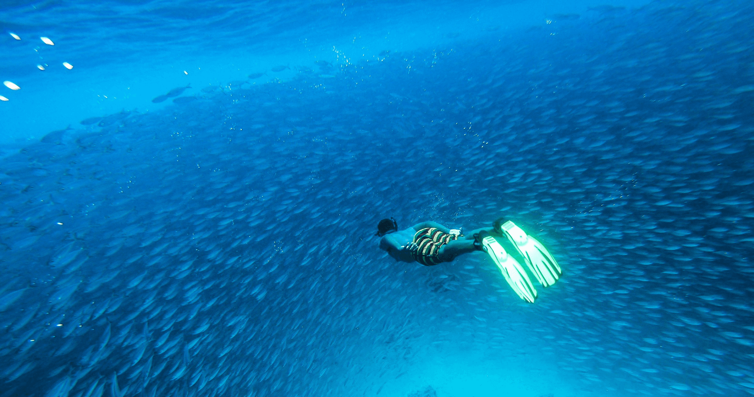 Snorkel Adventure