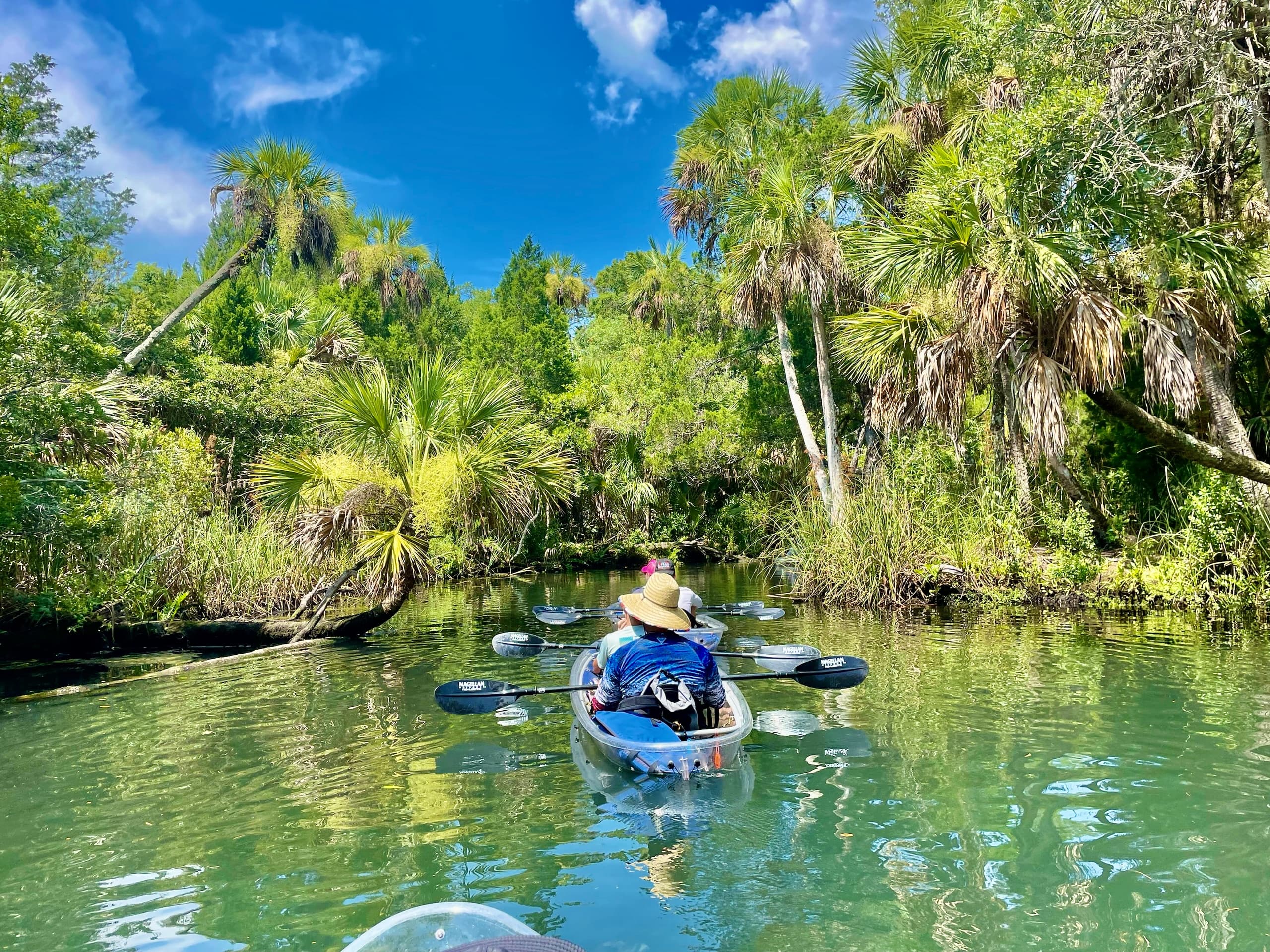Chassahowitzka Chaz" River Clear Kayak Tour"