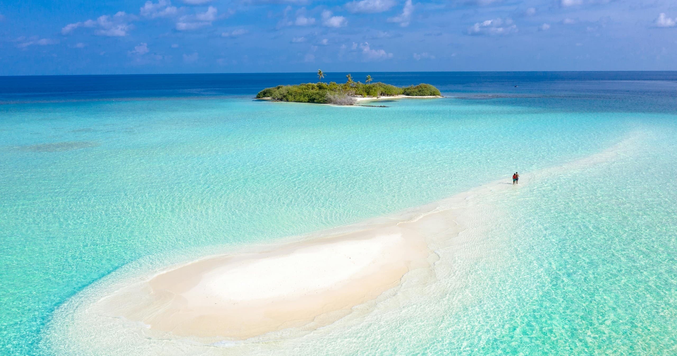 Sea Fox 4 Hour Sandbar Excursion
