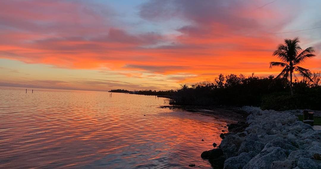 Sightsee or Bar Hop - Add-on Sunset & In-water Activities