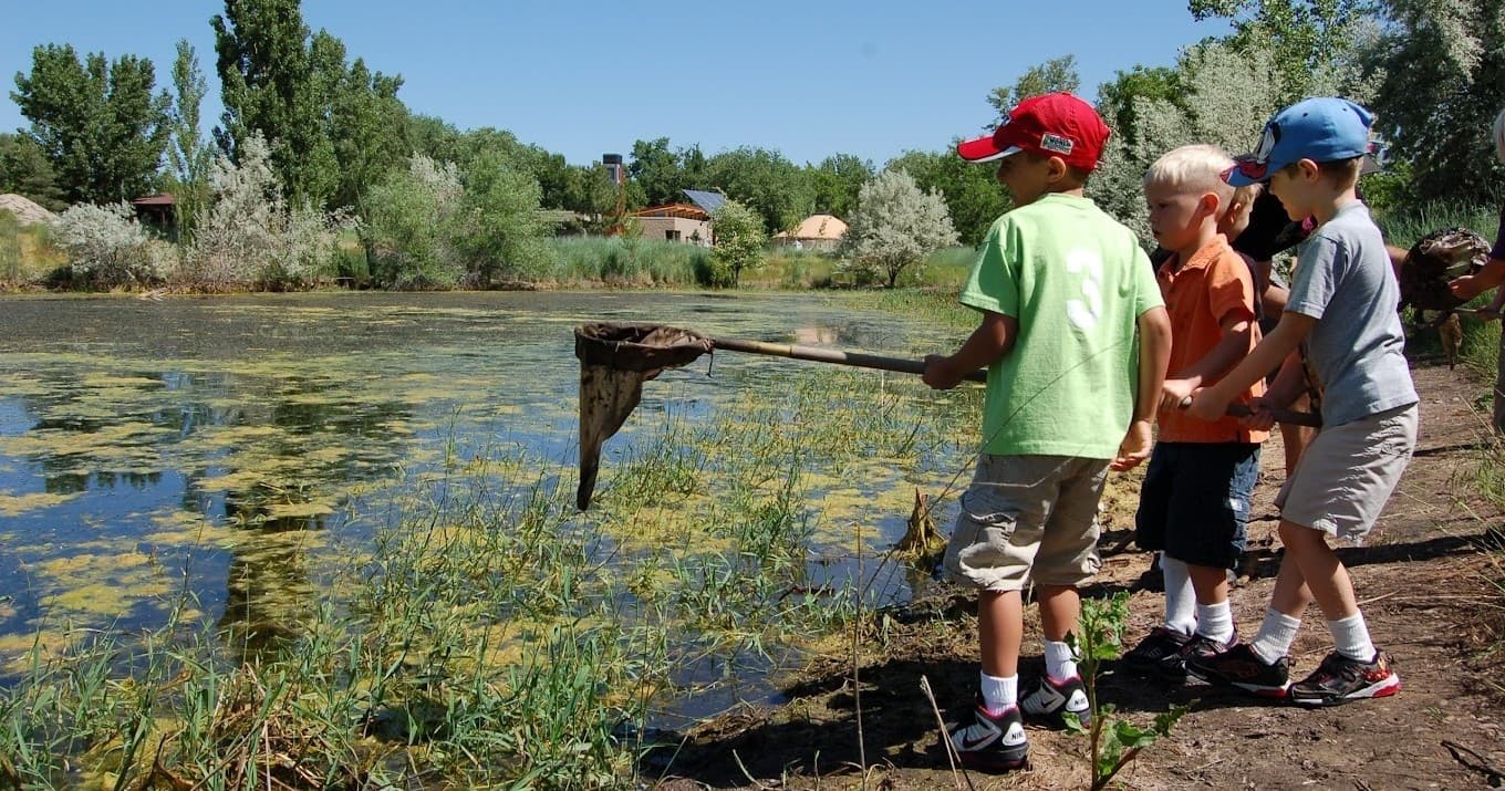 May: Pond Ecology (K-4th)
