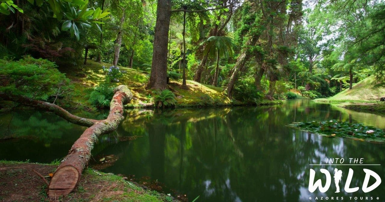 Furnas Tour