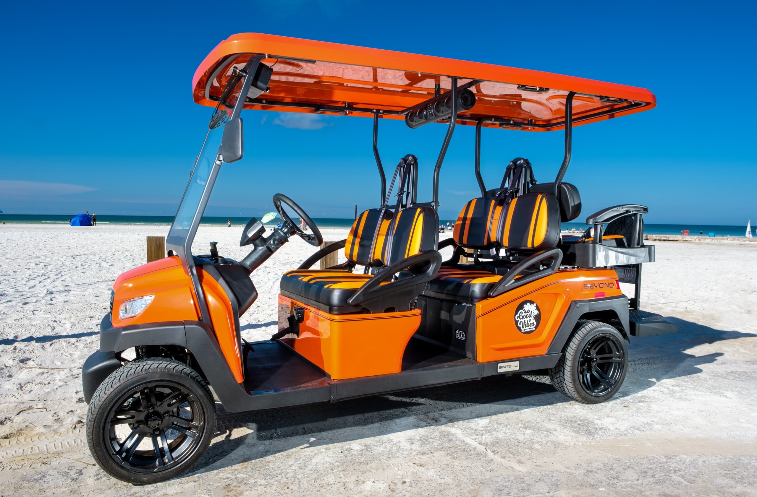 6 Seat Electric Golf Cart Rental