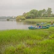Specialised Tours