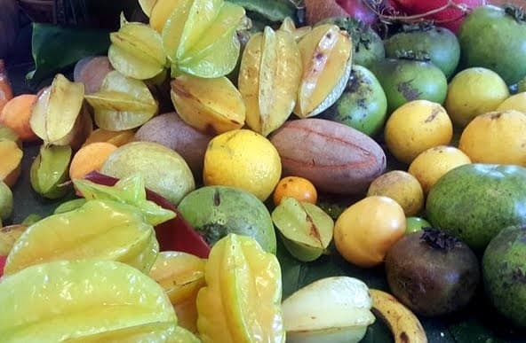 Taste of the Tropics (Tour 9)