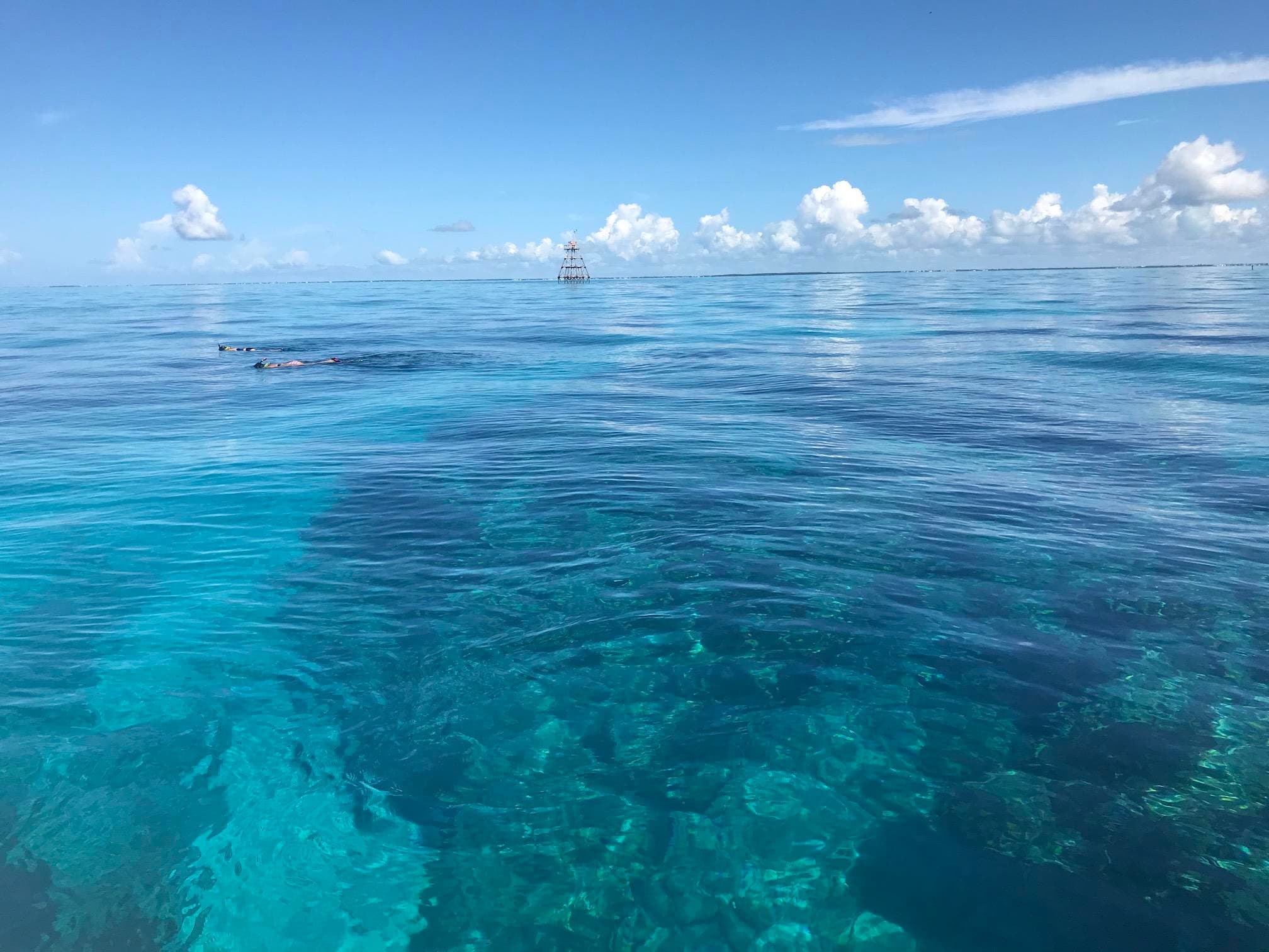 Private Boat Charter - Snorkel or SCUBA