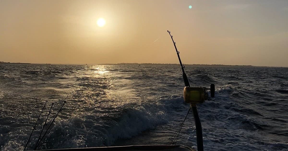 4 Hour Trolling Trip