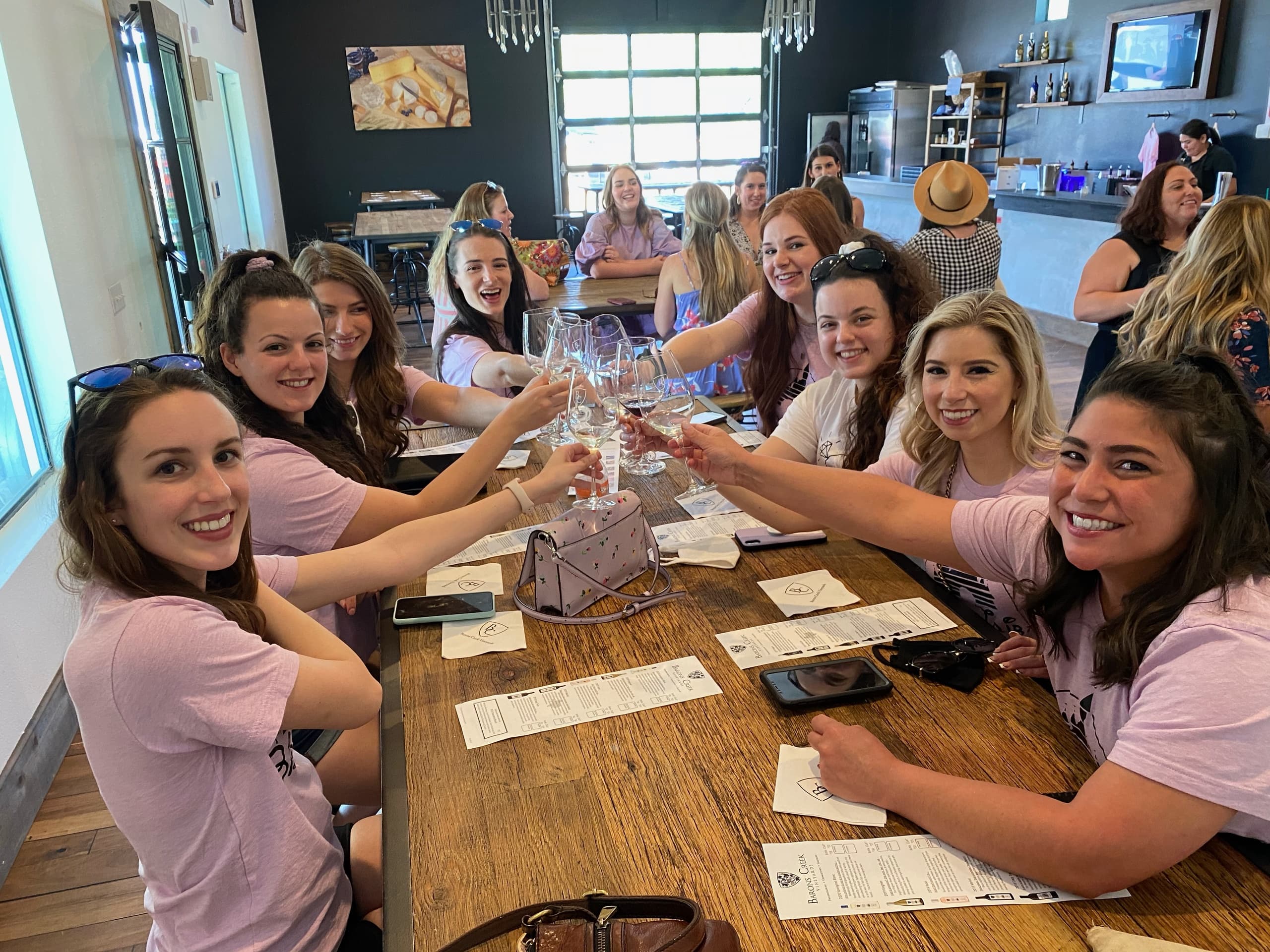 Private 1/2 Day Fredericksburg Wine Tour (AM)