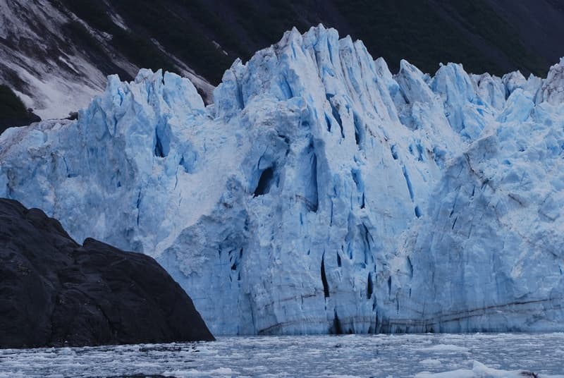 Winter Glacier and Wildlife Cruise