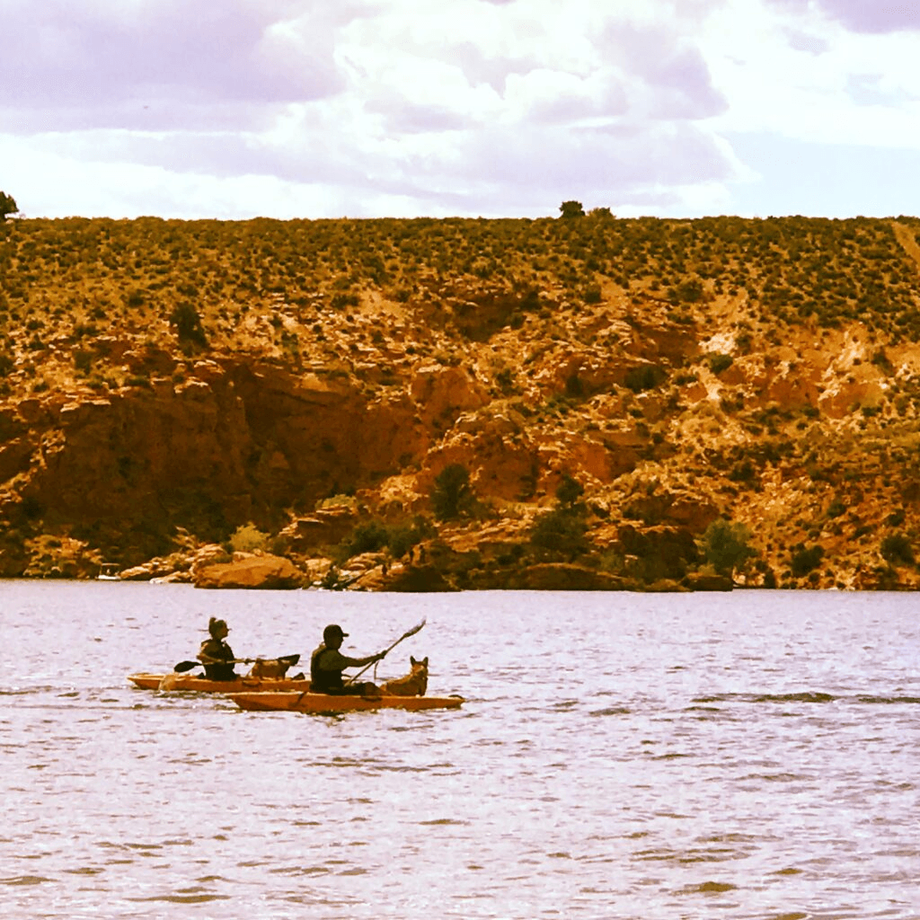 Kayak Eco-Tour