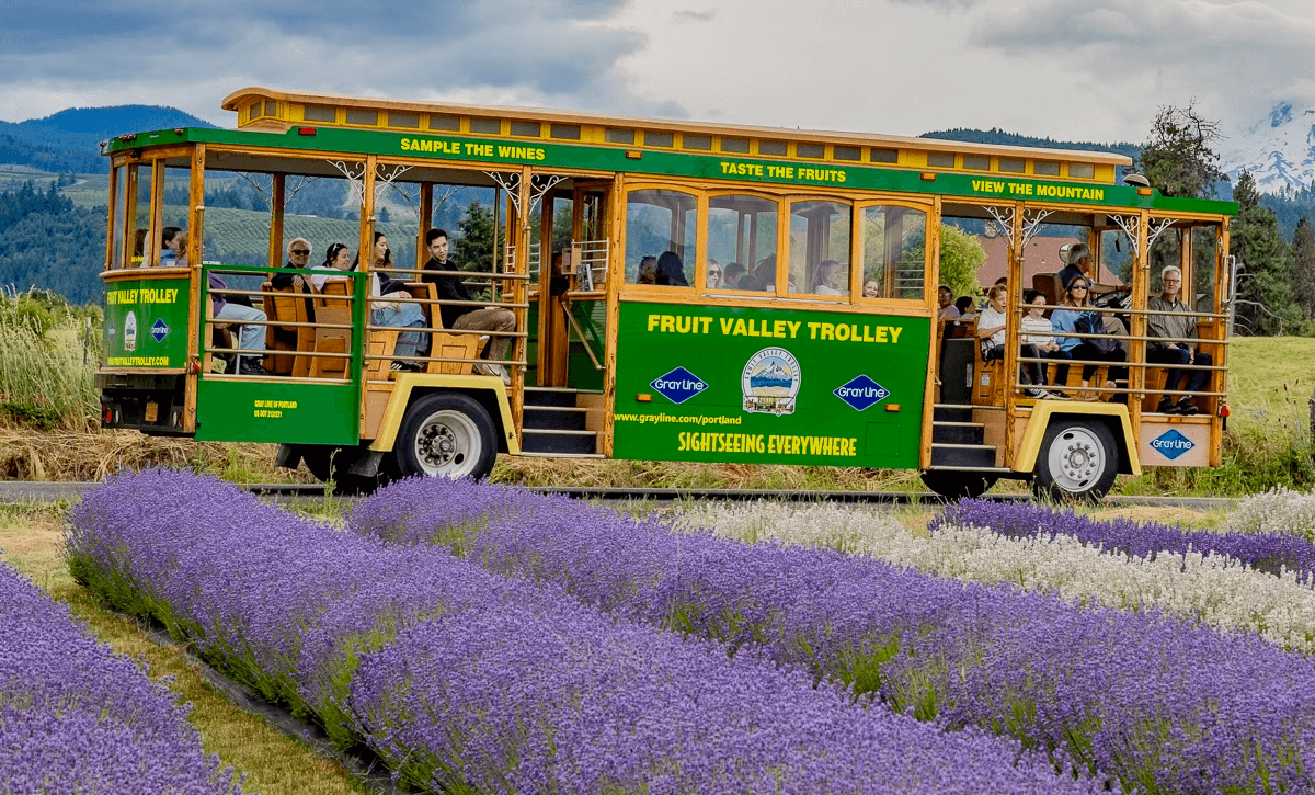 Fruit Valley Trolley & Train Combo