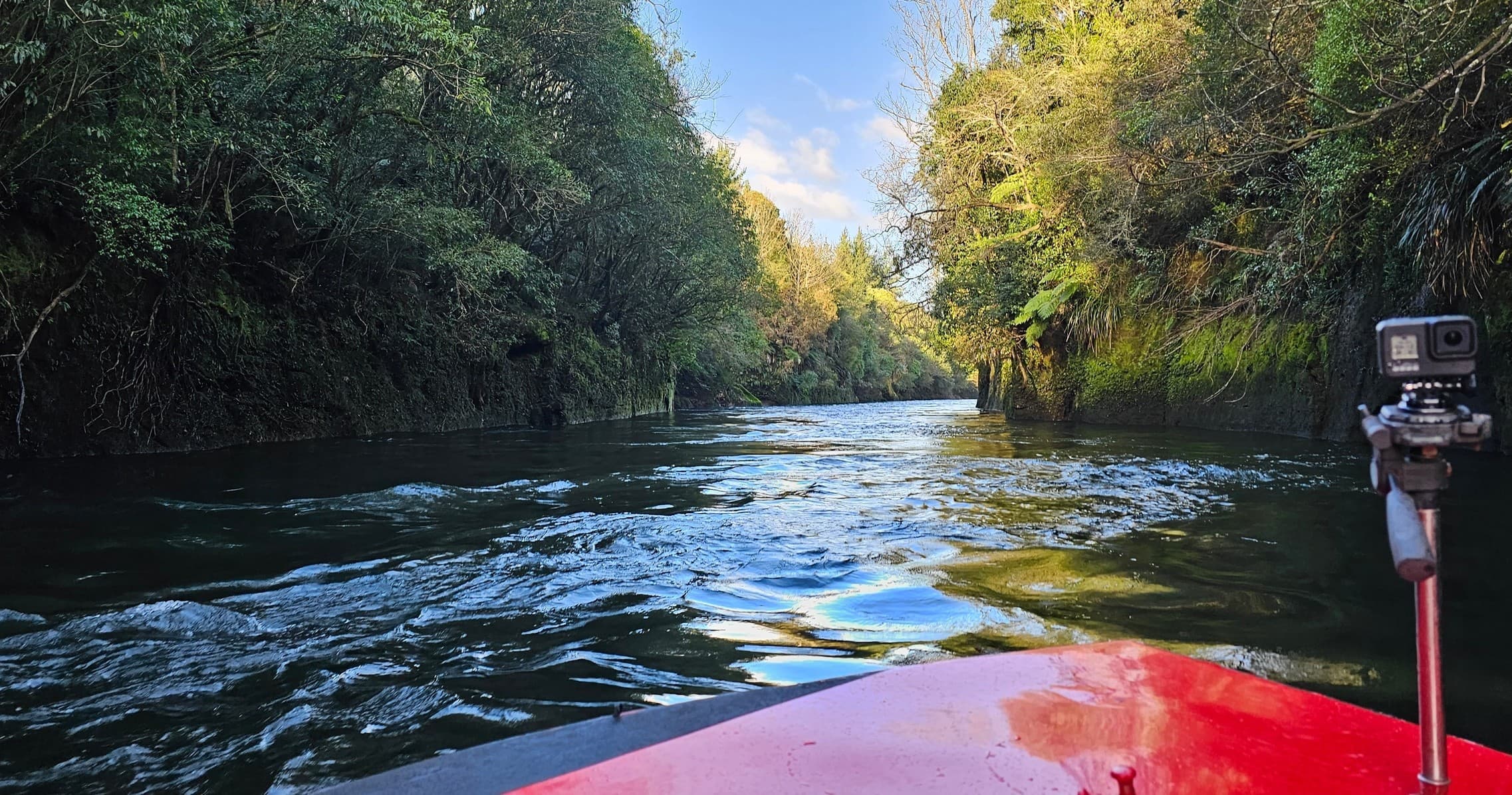 Cambridge to Hamilton Gardens - Return