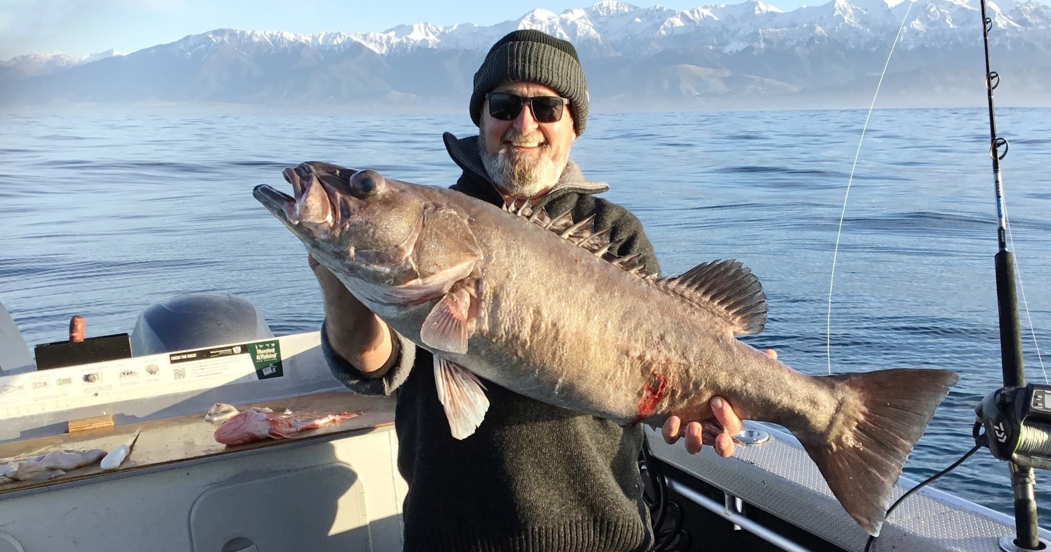 The semi professional Fish