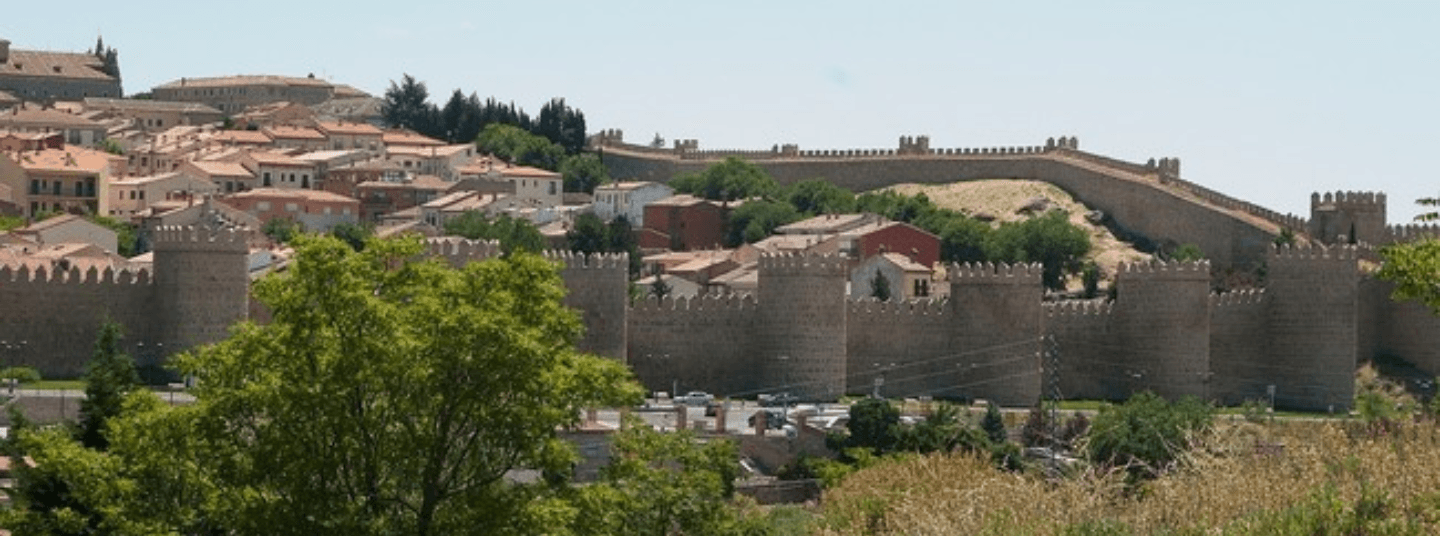 EXCURSIÓN PRIVADA ÁVILA Y SALAMANCA