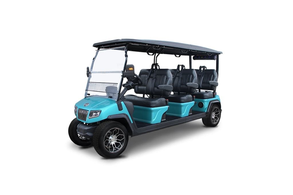 6 Passenger Luxury Street-Legal