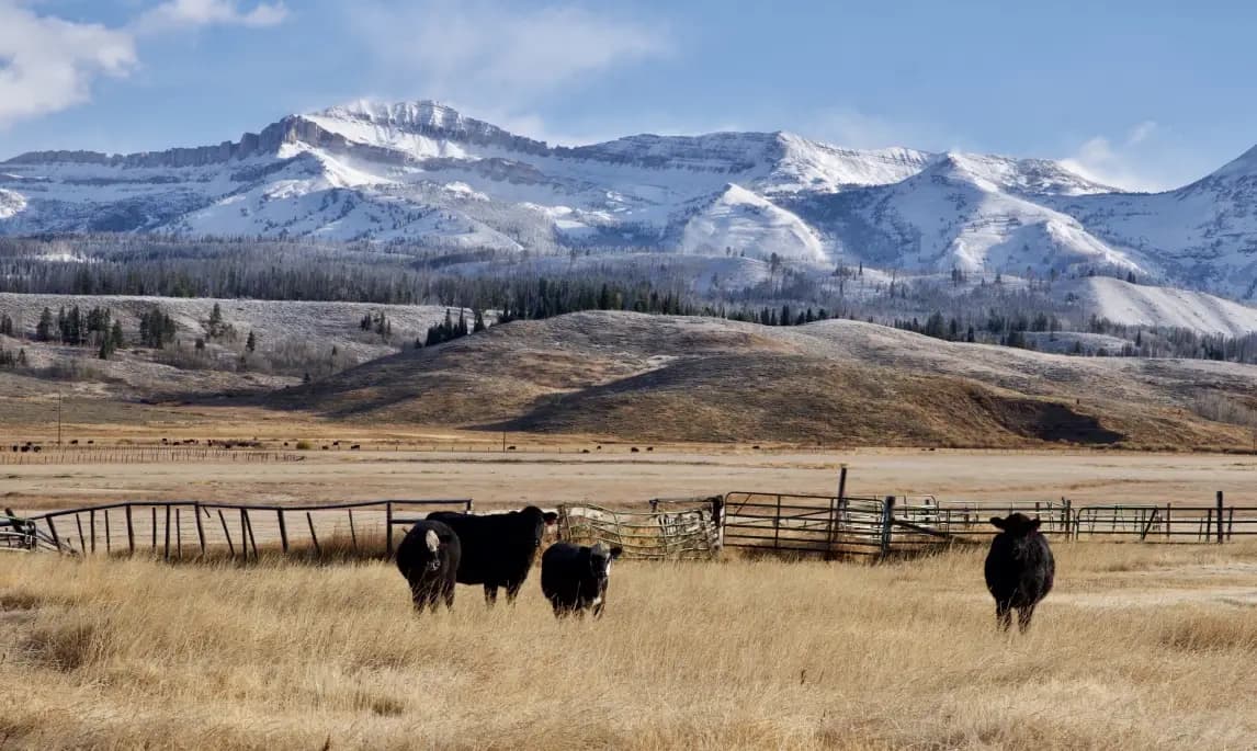 Ranch Tour