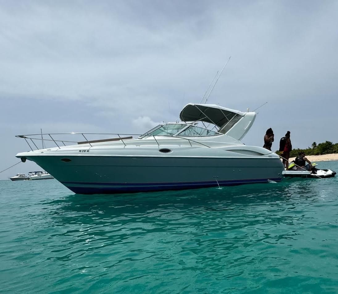 Cruiser 36