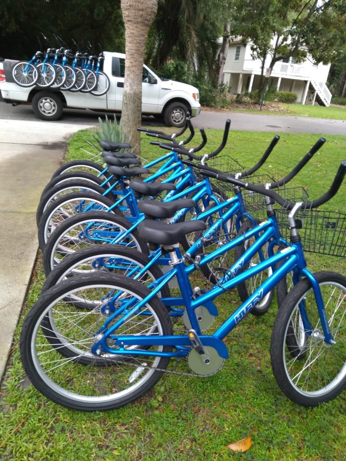 Twenty One Day Bike Rental