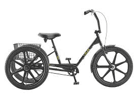 24 Adult Sun Trike Rental"