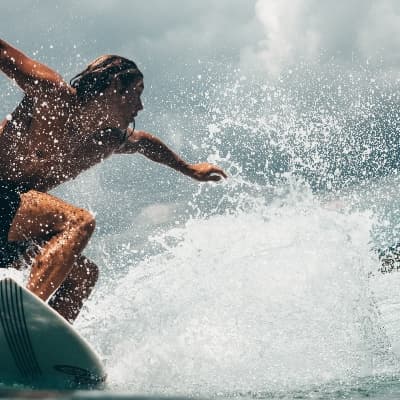 Surf Tour + Boat Tour