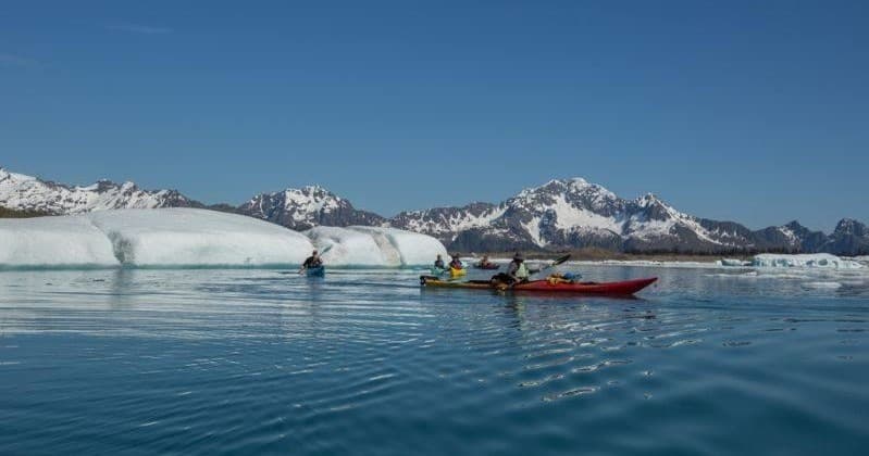 Captain's Choice Kenai Fjords Kayaking Tour