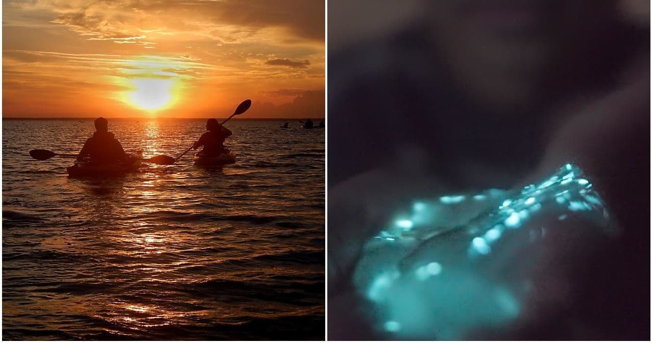 Sunset Bioluminescence Tour