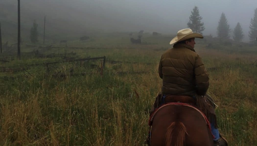 Working Ranch Cowboy Ride