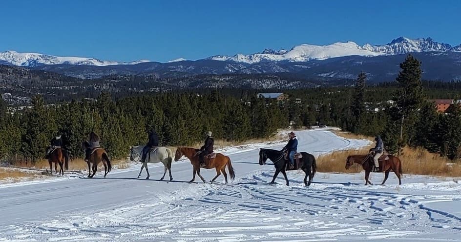 One Hour Scenic Trail Ride