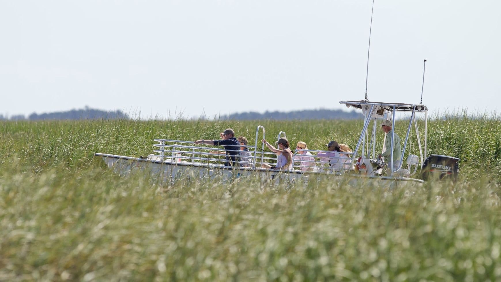 SAV Private Savannah Coastal Dolphin Eco Tour