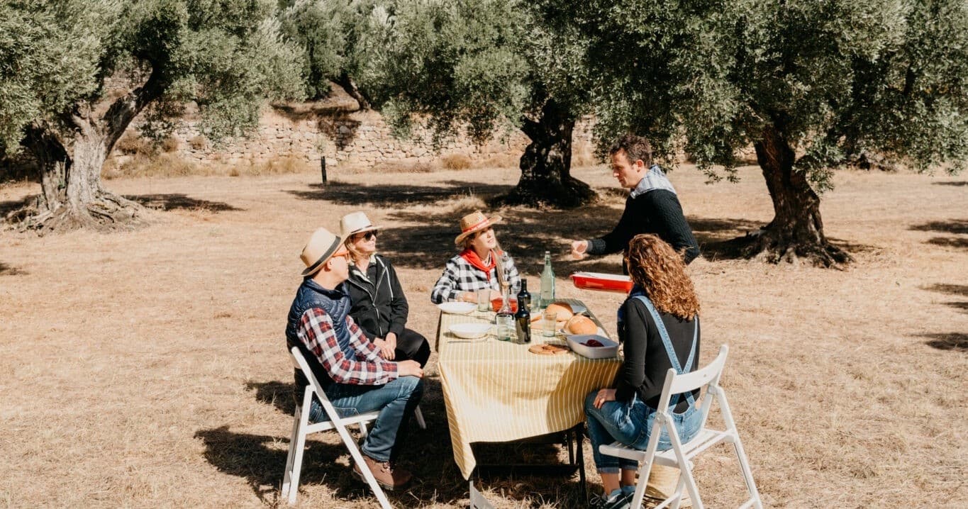 Gaudeix de l'Oli entre oliveres centenàries
