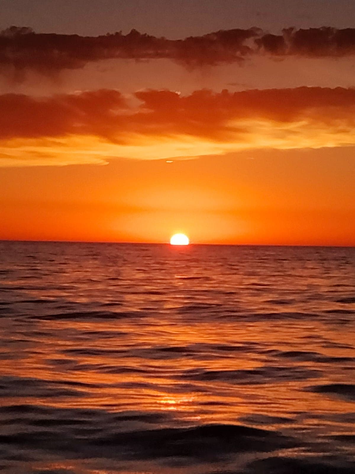 CRUCERO AL ATARDECER CON CENA ABORDO