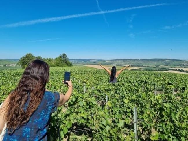 Vineyard Visit 🇬🇧