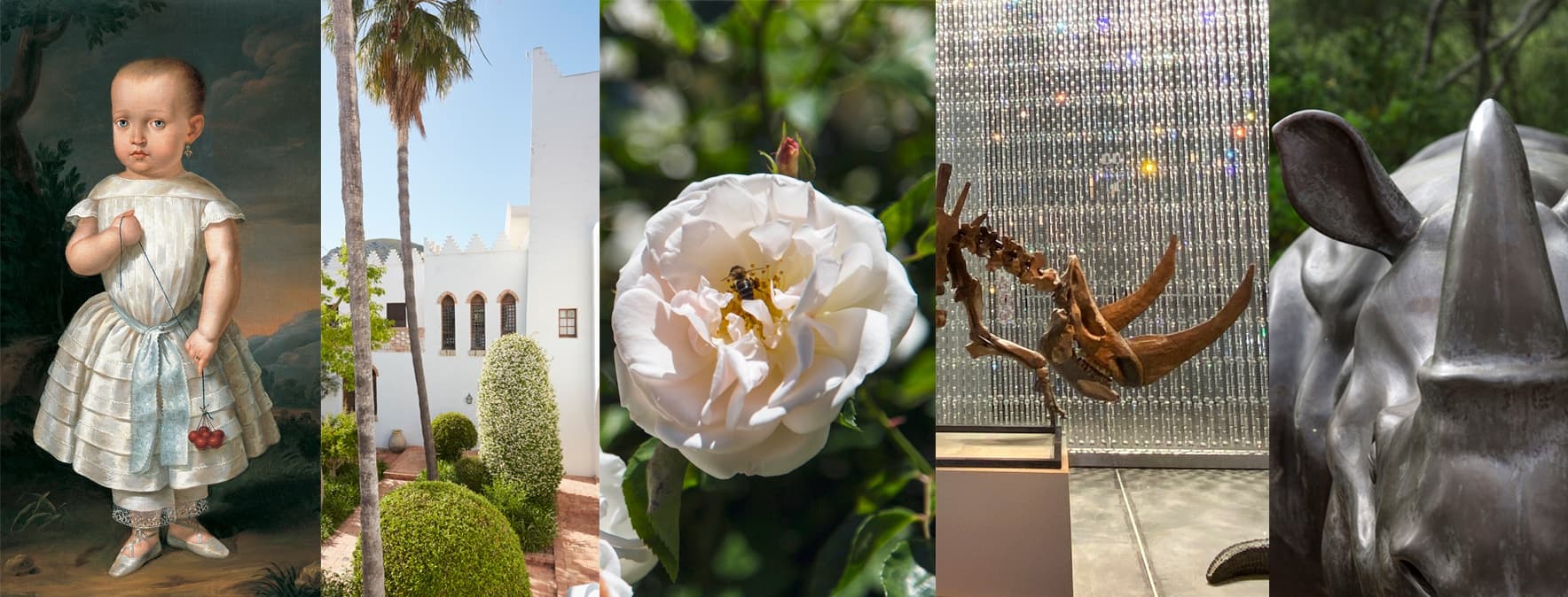Museo Sa Bassa Blanca: Visita Completa