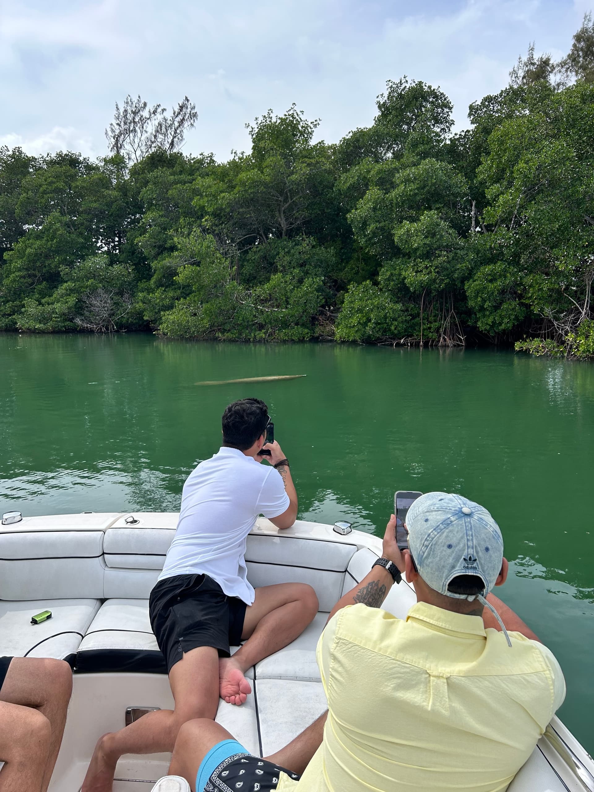 Wildlife Adventures: Miami's Eco Tour