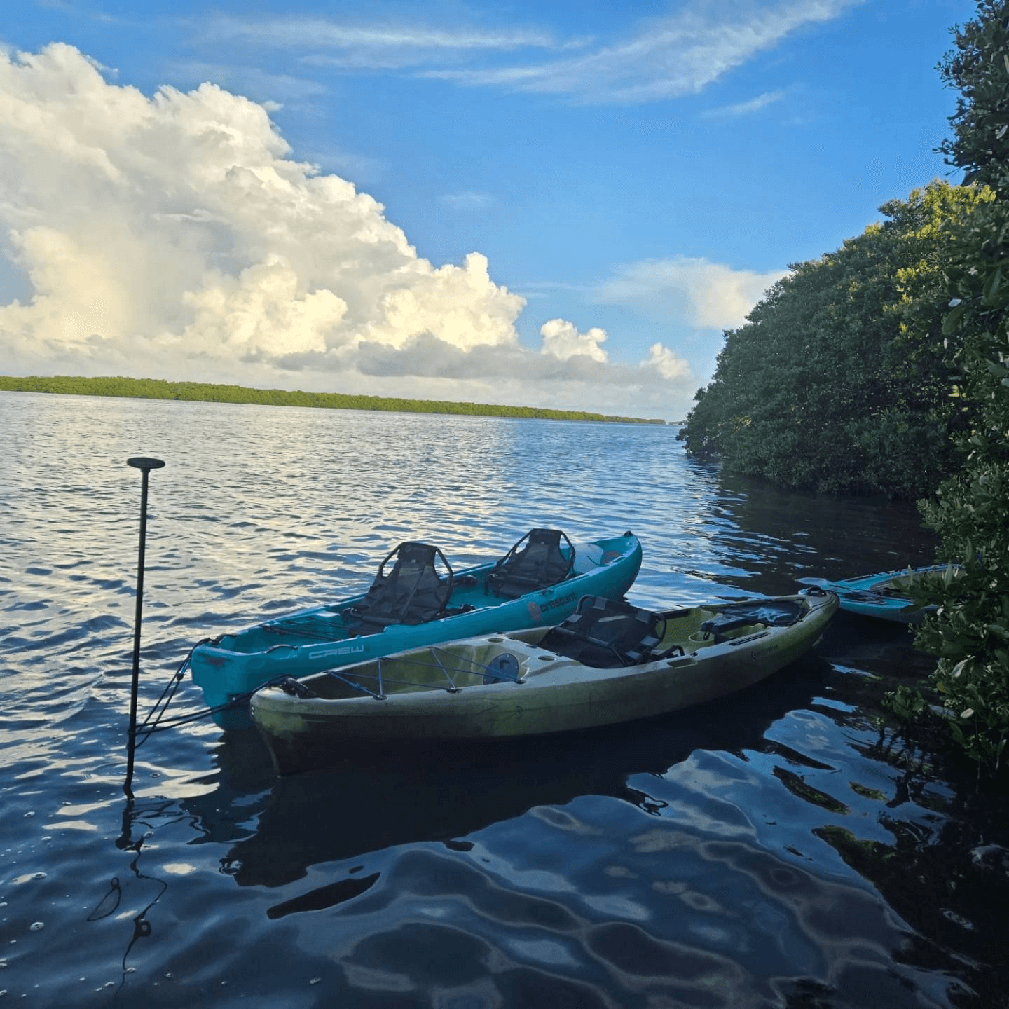 Private Group Tour at Shell Key With Capt Yak