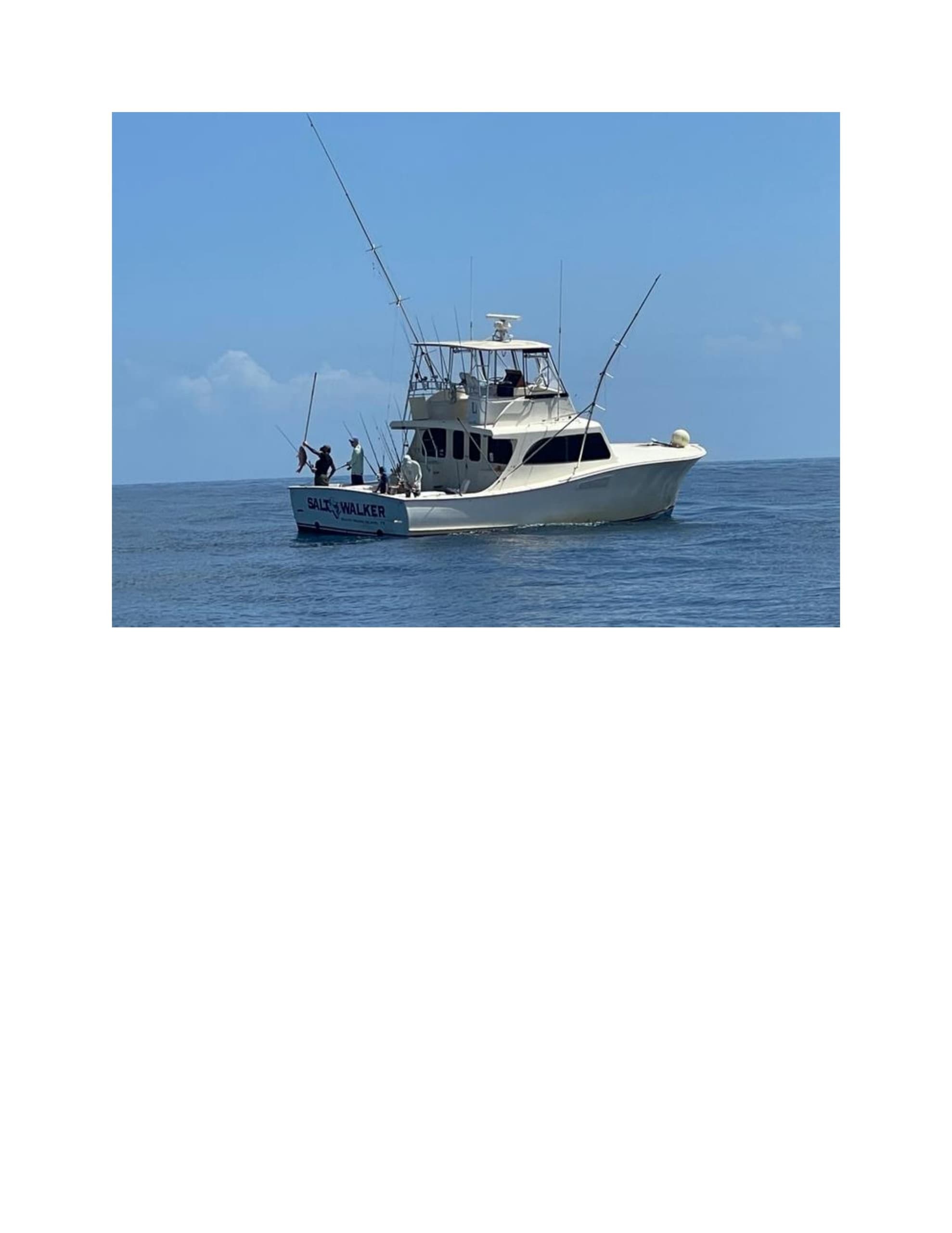 Salt Walker • Reef Fishing