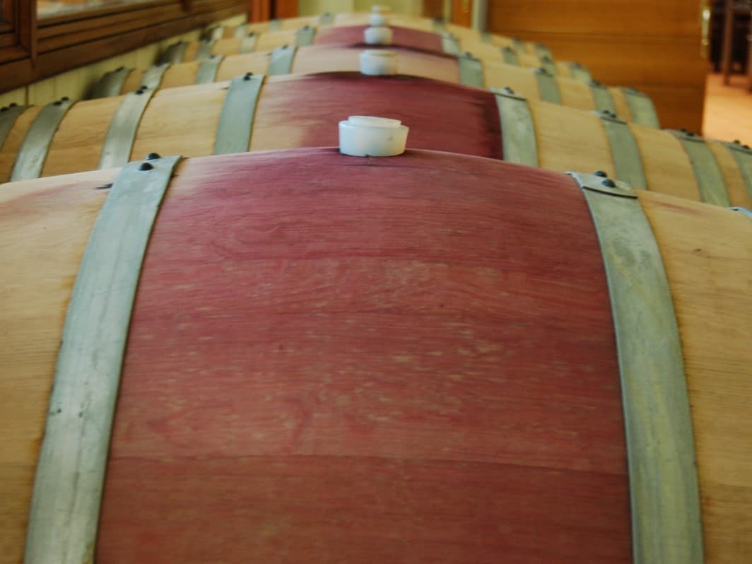 Private Slow Wine tour in Lucca countryside by minivan
