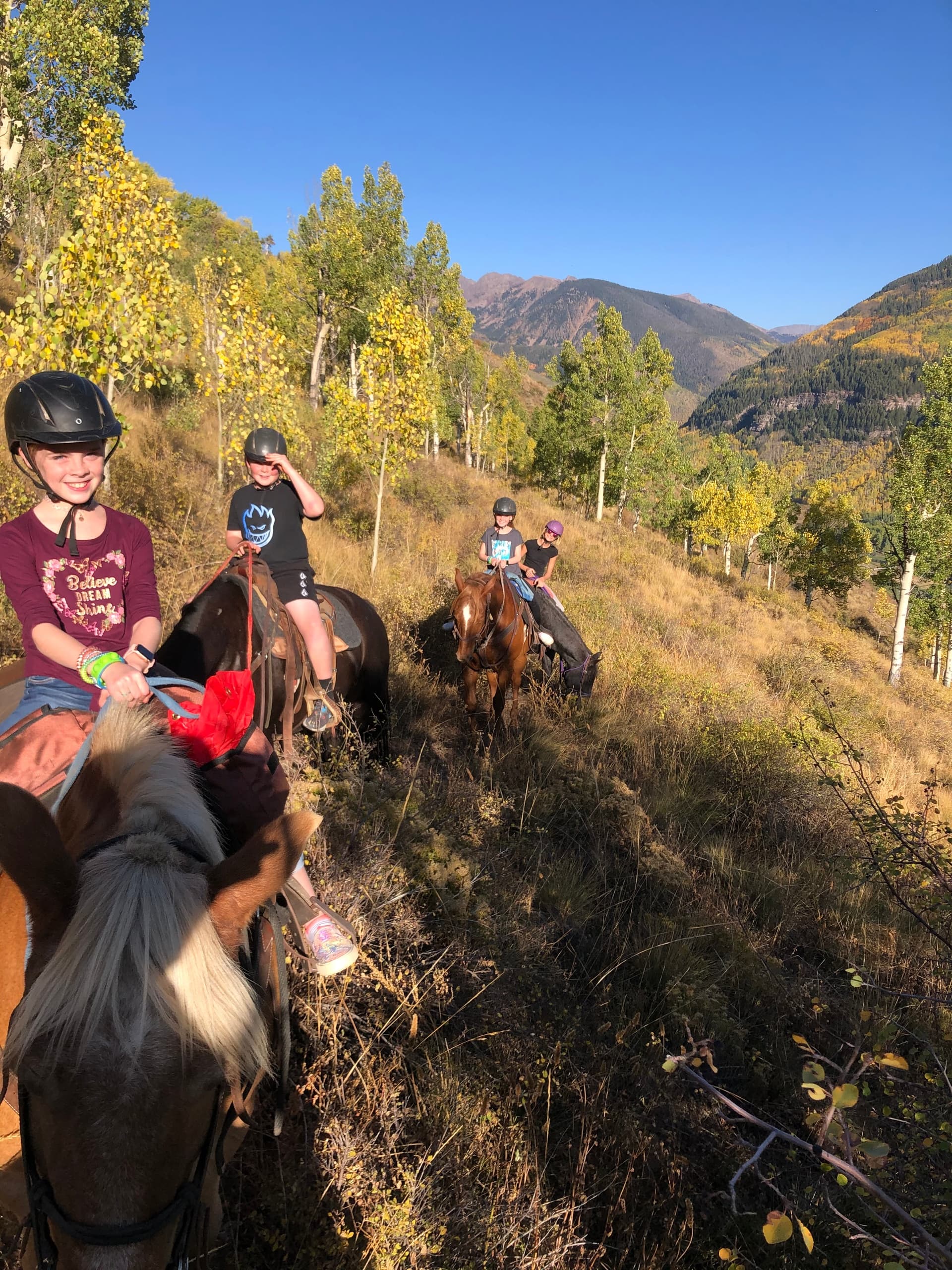 1 Hr. Horseback Ride