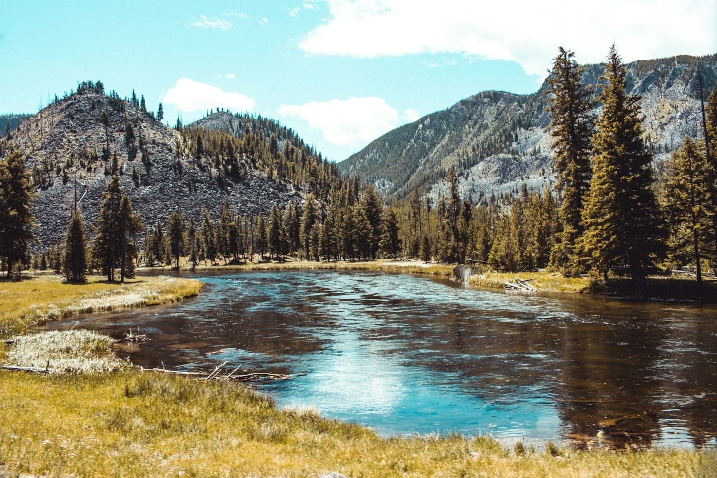 Yellowstone Small-Group Tour From Paradise Valley & Gardiner
