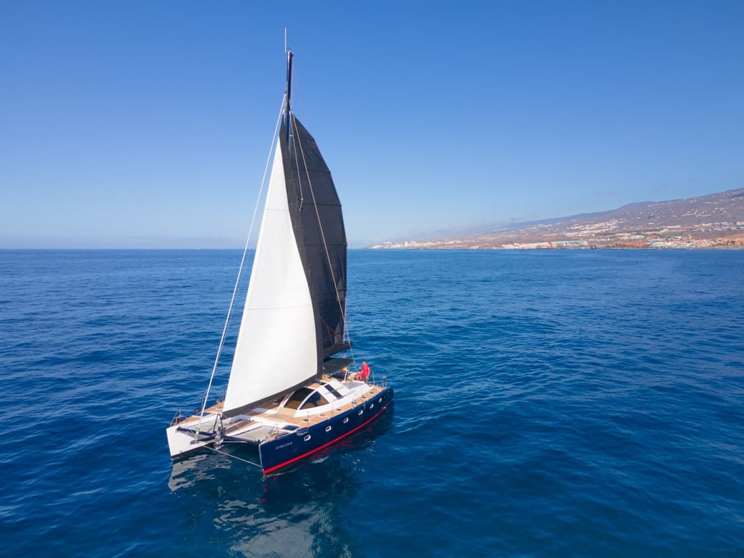 Avistamiento de cetáceos en Catamarán Chill Out (3 hrs.)