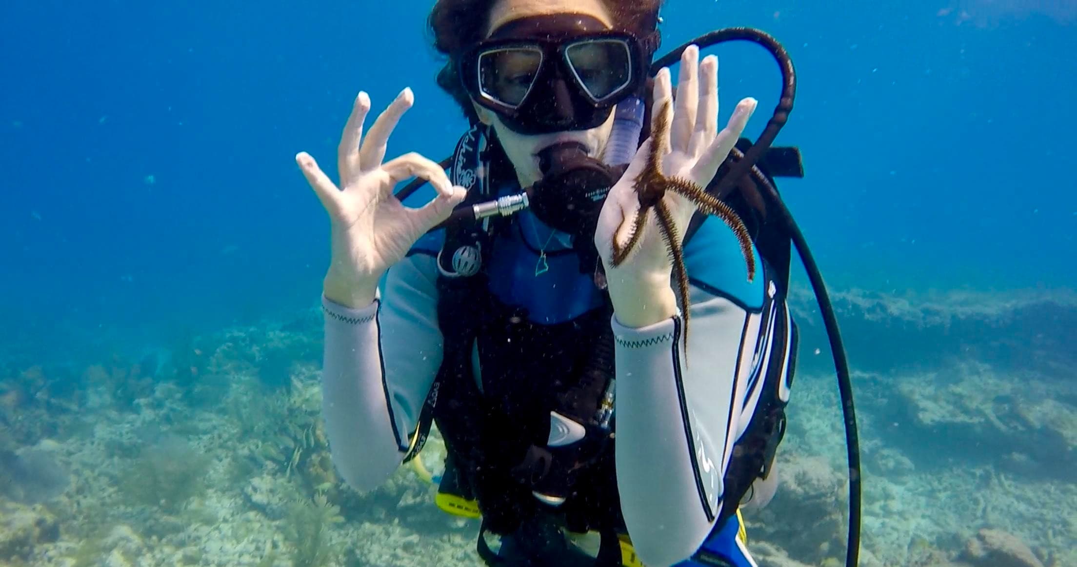 Open Water Check Out Dives