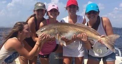 Fishing and  Sightseeing Charters