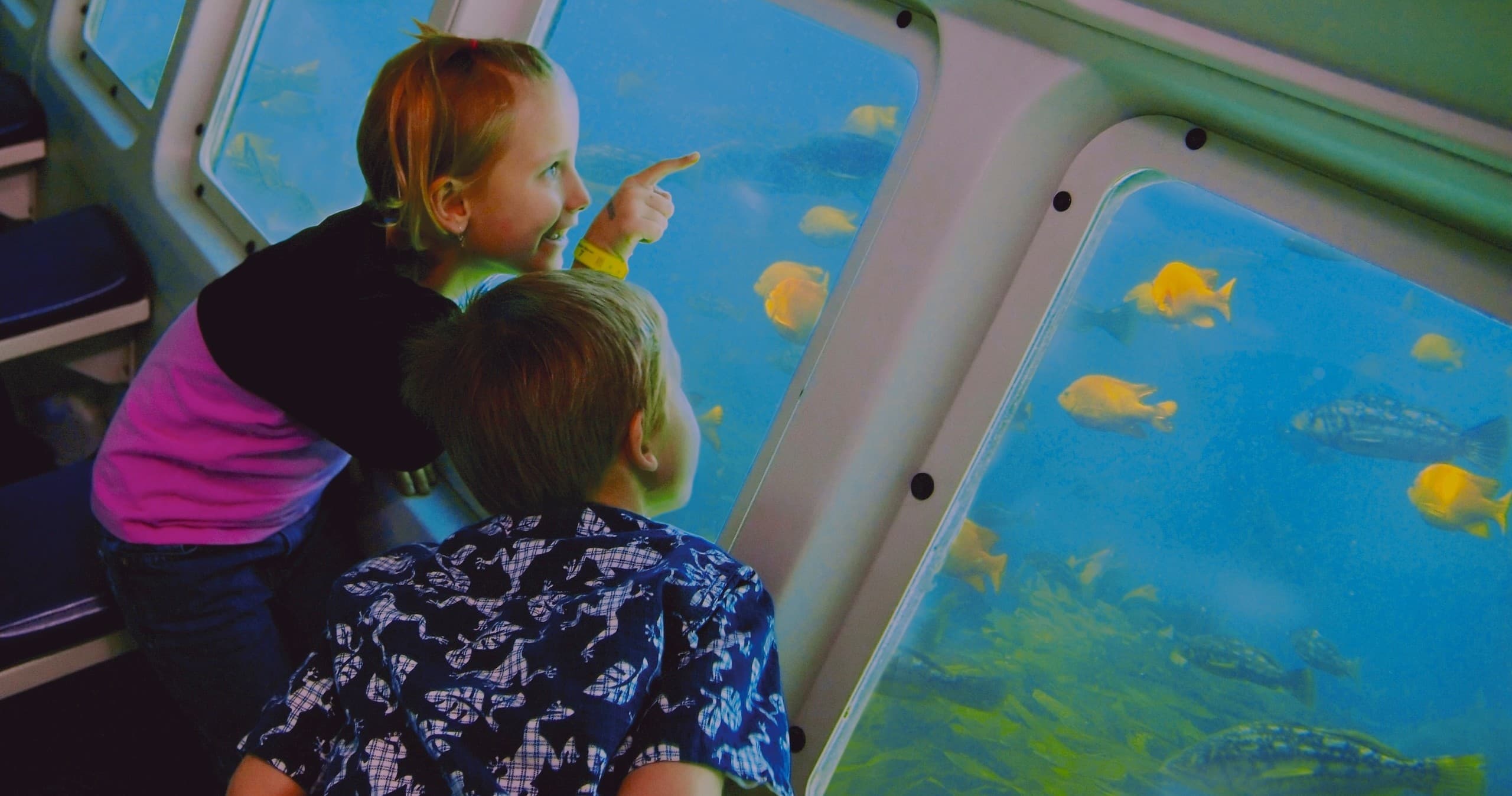 Undersea Expedition