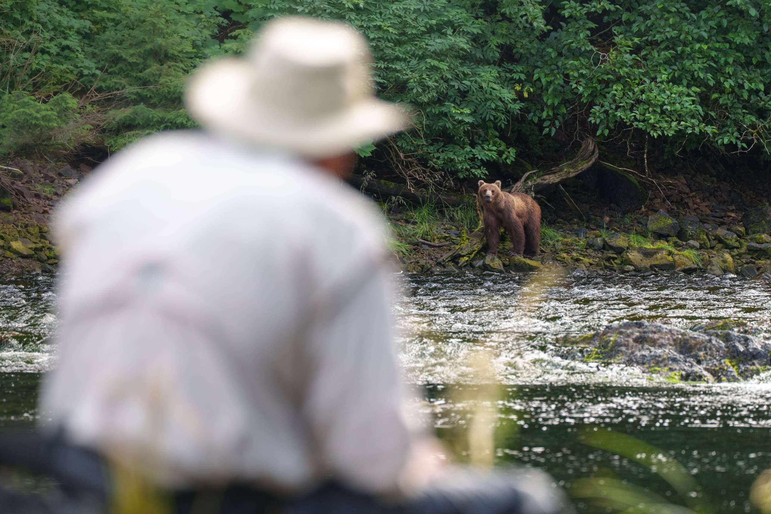 Private Bear Viewing