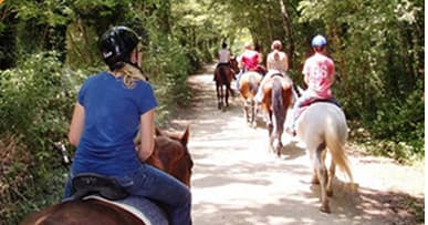 Private VIP - HORSE BACK RIDING & WINE TOUR IN CHIANTI
