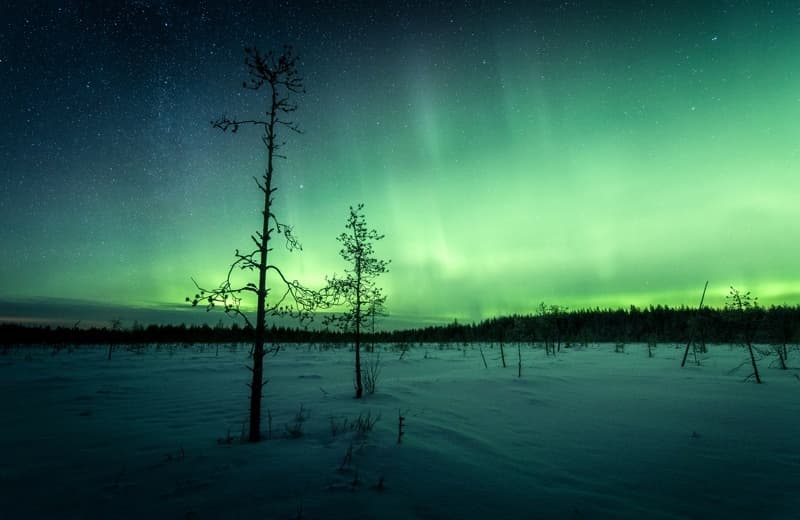 Late Night Winter Ride – Northern Lights Horseback Safari
